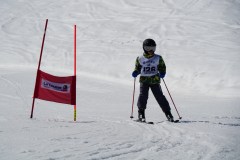 DSC06611-8677