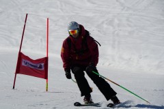 DSC06617-8681