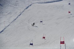 DSC06622-8683