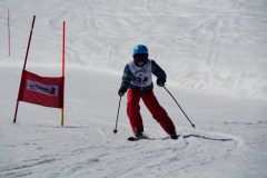 DSC06636-8690