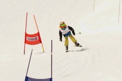 DSC06670-8702