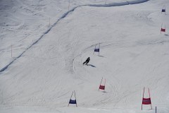 DSC06726-8728