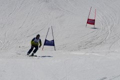 DSC06735-8736