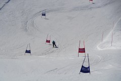 DSC06754-8748