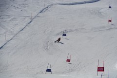DSC06780-8762