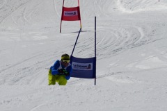 DSC06787-8767