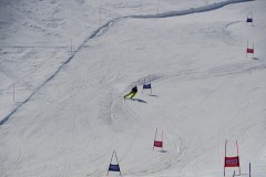 DSC06797-8773