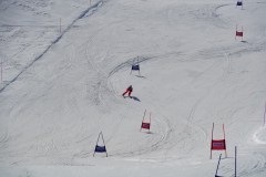 DSC06813-8784