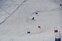 DSC06817-8787