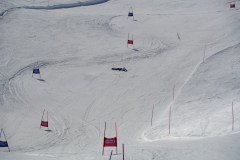 DSC06834-8799