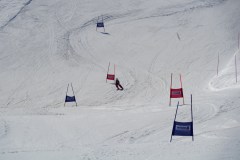DSC06843-8803