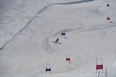 DSC06847-8806