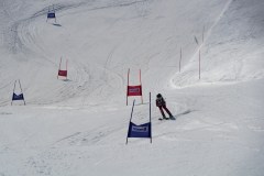 DSC06848-8807