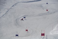 DSC06877-8828