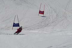 DSC06879-8830