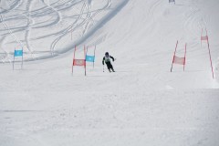 DSC03734-9106