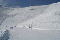 DSC03743-9111