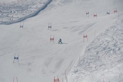 DSC03785-9135
