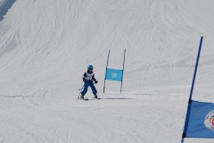 DSC03795-9141