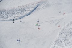 DSC03914-9207