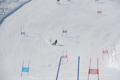 DSC03915-9208