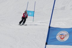 DSC03932-9217