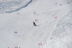 DSC03941-9221