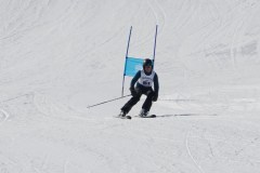DSC03947-9223