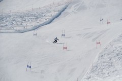 DSC03965-9231