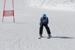 DSC03981-9239