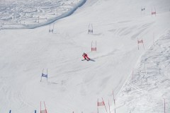 DSC04012-9254