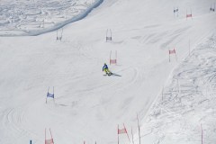 DSC04047-9271