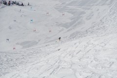 DSC04057-9276