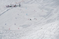 DSC04110-9303