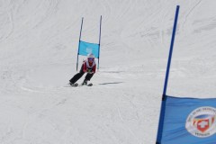 DSC04118-9305