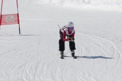 DSC04119-9306
