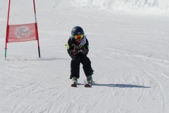 DSC04122-9308
