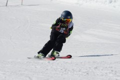 DSC04123-9309