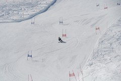 DSC04125-9310