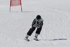 DSC04128-9313