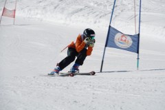 DSC04140-9320