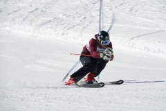 DSC04164-9331