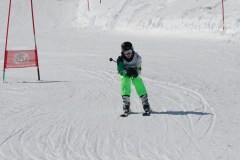 DSC04175-9336