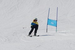 DSC04183-9339
