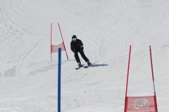 DSC04187-9341