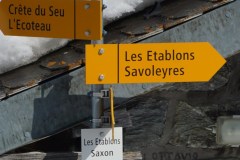 DSC04400-9417