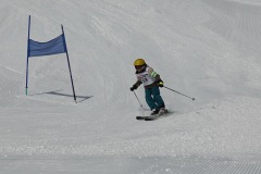 DSC04184