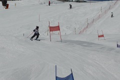 DSC04205