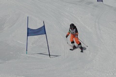 DSC04231