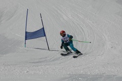 DSC04388
